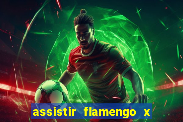 assistir flamengo x bahia multicanais