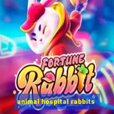 animal hospital rabbits