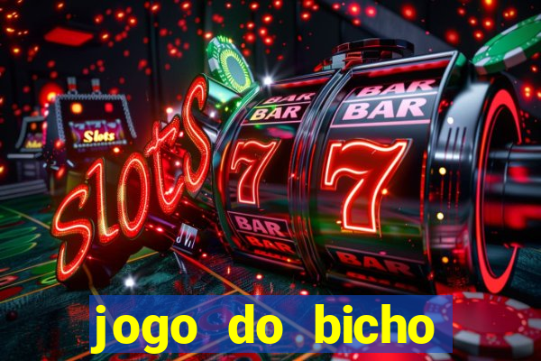 jogo do bicho crash bingo