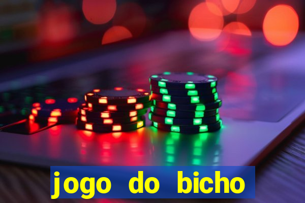 jogo do bicho crash bingo