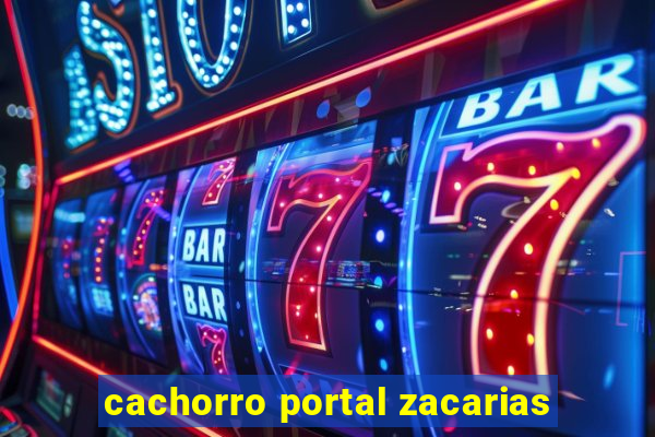 cachorro portal zacarias