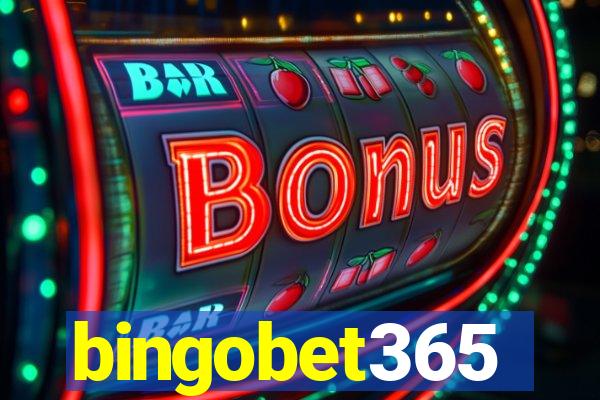 bingobet365