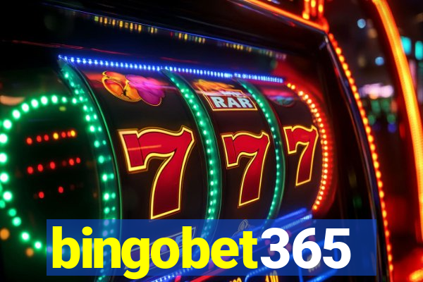 bingobet365