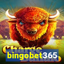 bingobet365