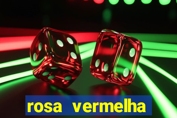 rosa vermelha (letra e cifra)