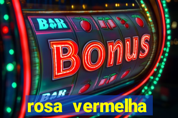 rosa vermelha (letra e cifra)