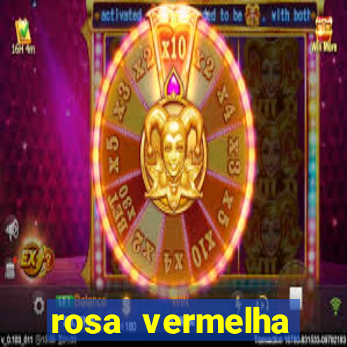 rosa vermelha (letra e cifra)