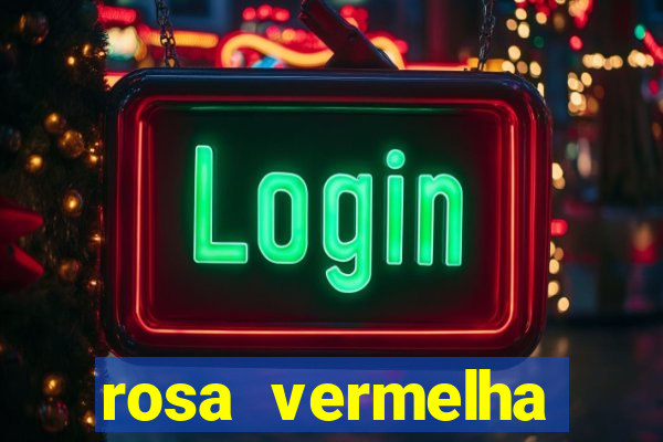 rosa vermelha (letra e cifra)