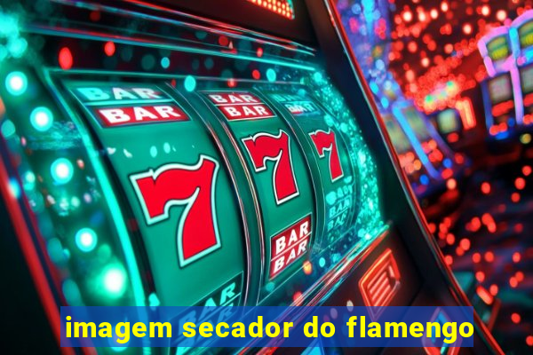 imagem secador do flamengo