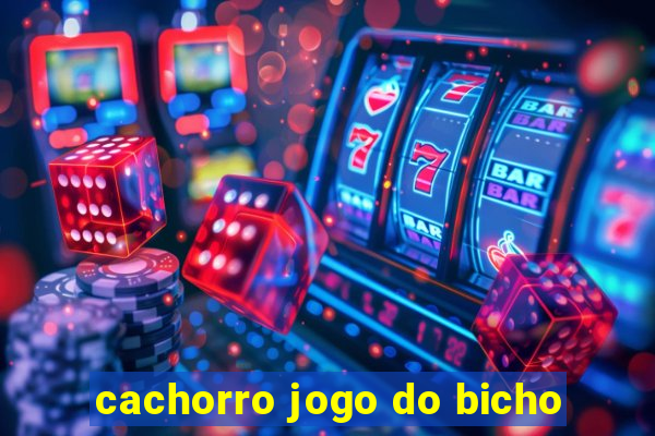 cachorro jogo do bicho