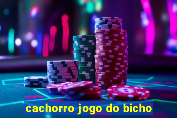 cachorro jogo do bicho