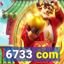 6733 com