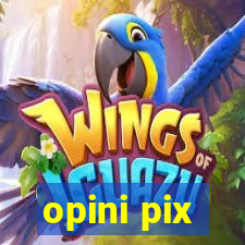 opini pix