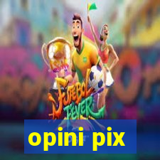 opini pix