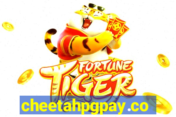 cheetahpgpay.com