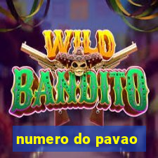 numero do pavao