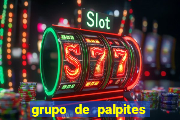 grupo de palpites de futebol whatsapp