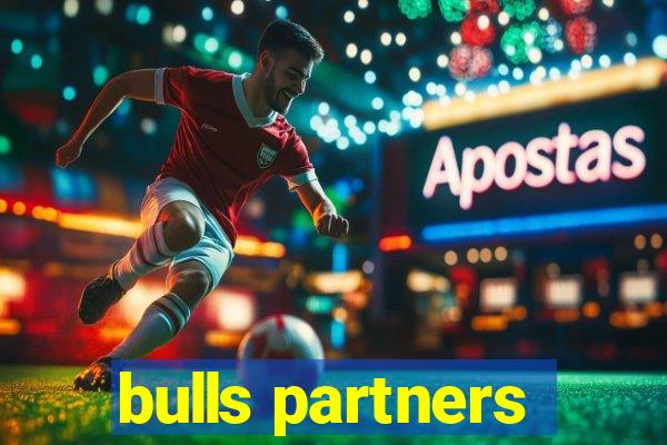 bulls partners