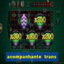 acompanhante trans baixada fluminense