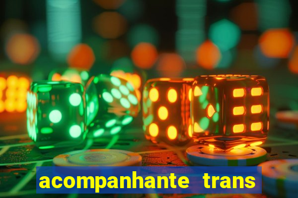 acompanhante trans baixada fluminense