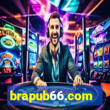 brapub66.com