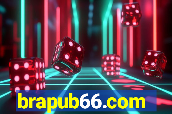 brapub66.com