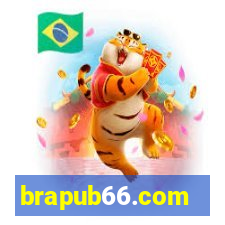 brapub66.com