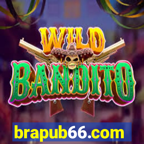 brapub66.com