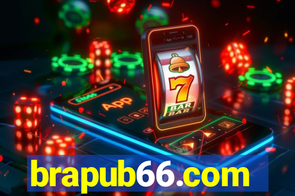 brapub66.com