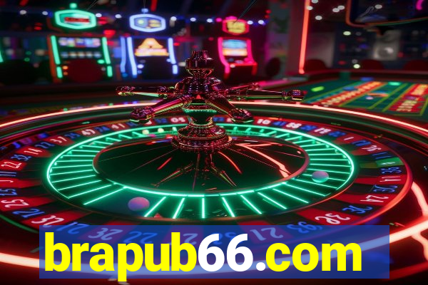 brapub66.com