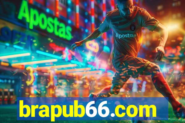 brapub66.com