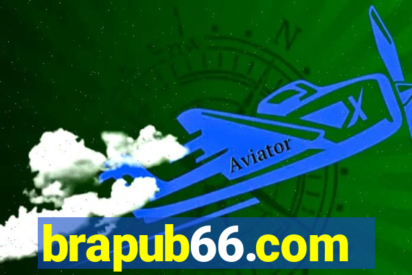 brapub66.com