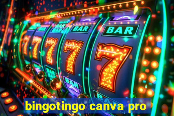 bingotingo canva pro