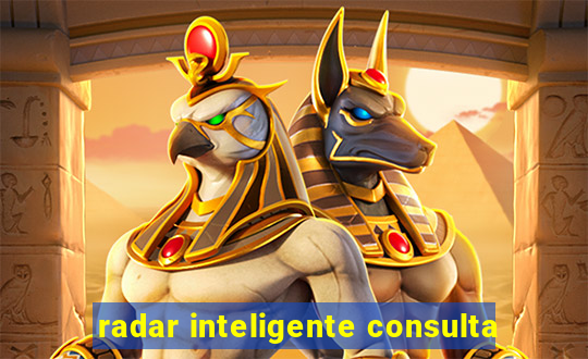 radar inteligente consulta