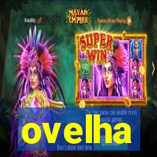 ovelha