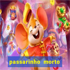 passarinho morto significado espiritual