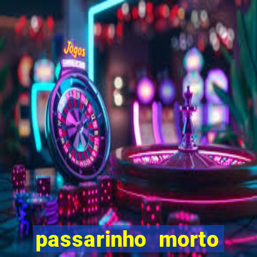 passarinho morto significado espiritual