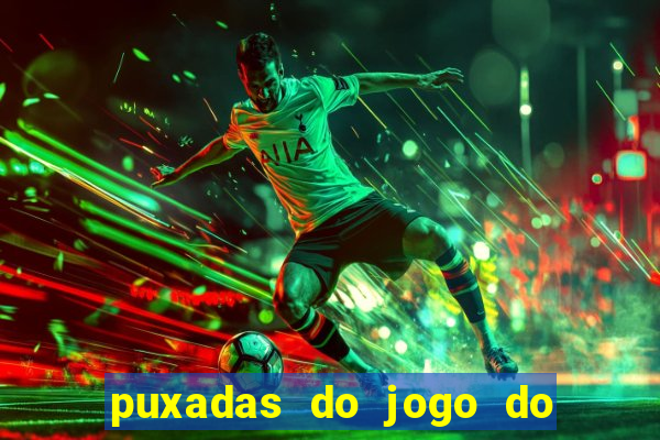 puxadas do jogo do bicho sueli