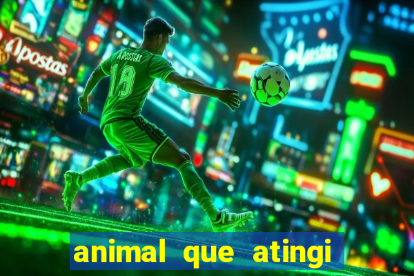 animal que atingi 230 decibeis