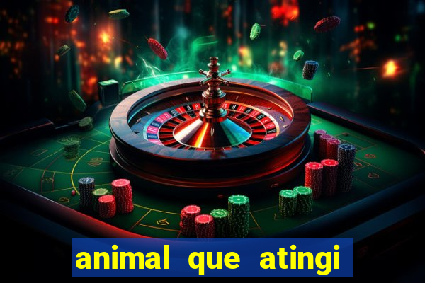 animal que atingi 230 decibeis