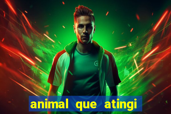 animal que atingi 230 decibeis