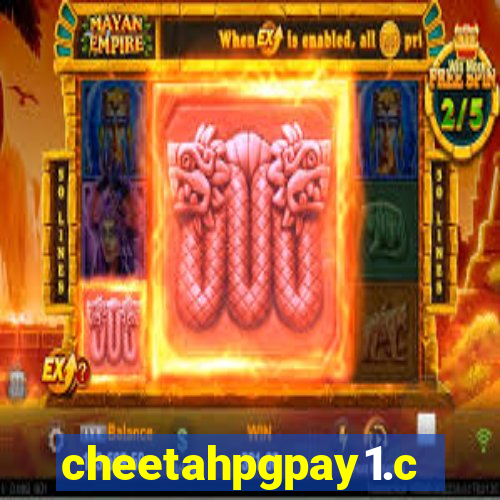 cheetahpgpay1.com