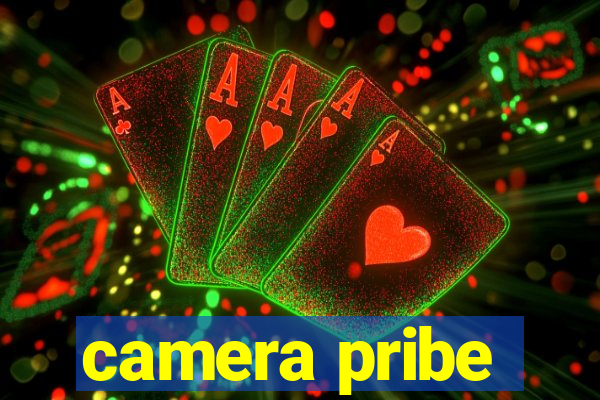 camera pribe