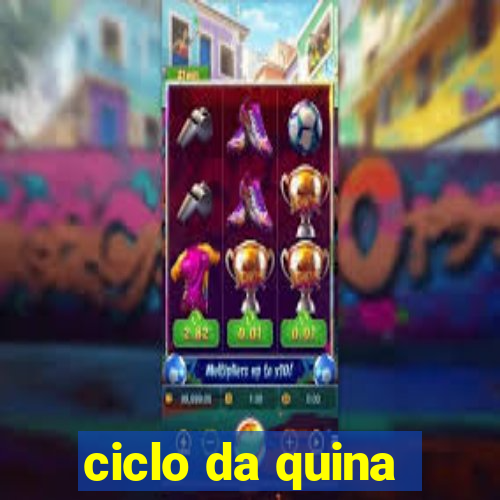 ciclo da quina