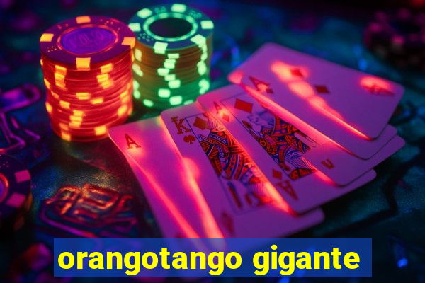 orangotango gigante