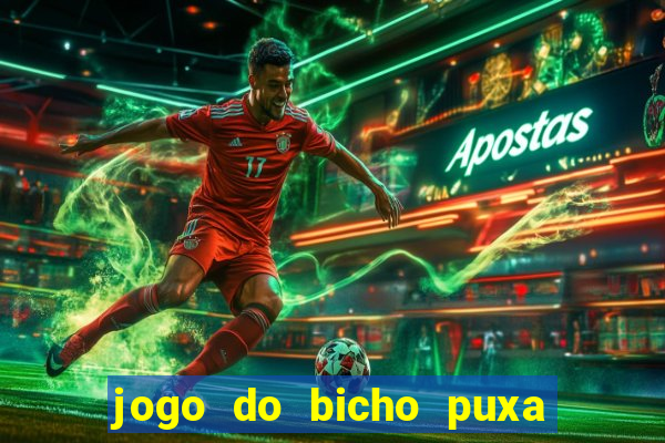 jogo do bicho puxa de dona maria