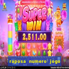 raposa numero jogo do bicho