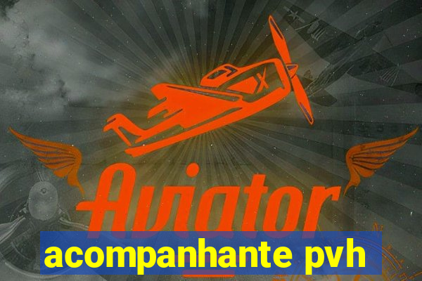 acompanhante pvh