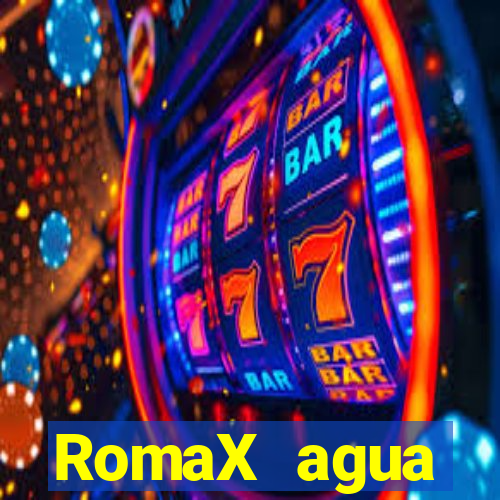 RomaX agua sanitaria fispq agua sanitaria romax