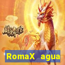 RomaX agua sanitaria fispq agua sanitaria romax